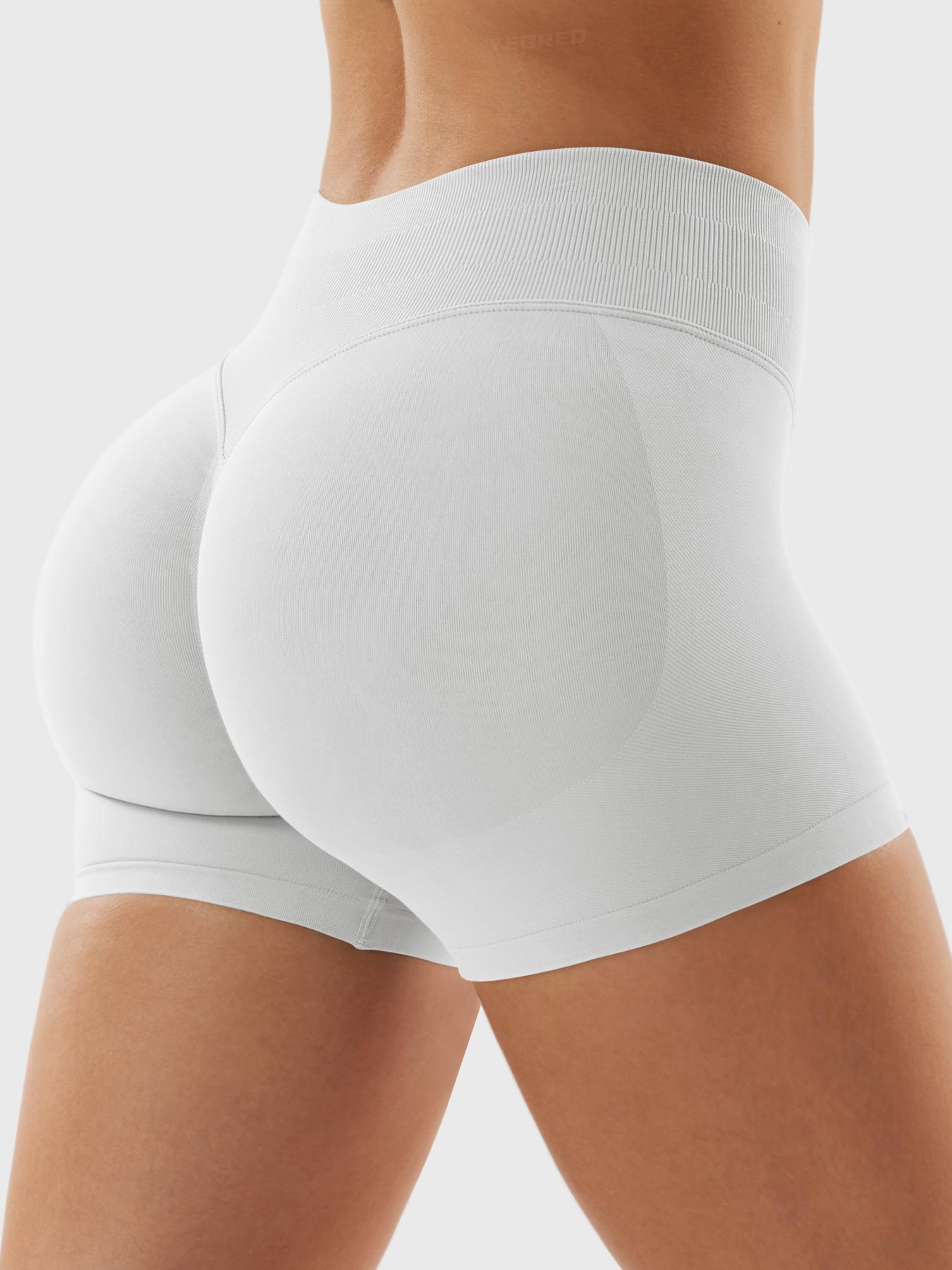 Short Eileen 2.5" Hidden Scrunch -